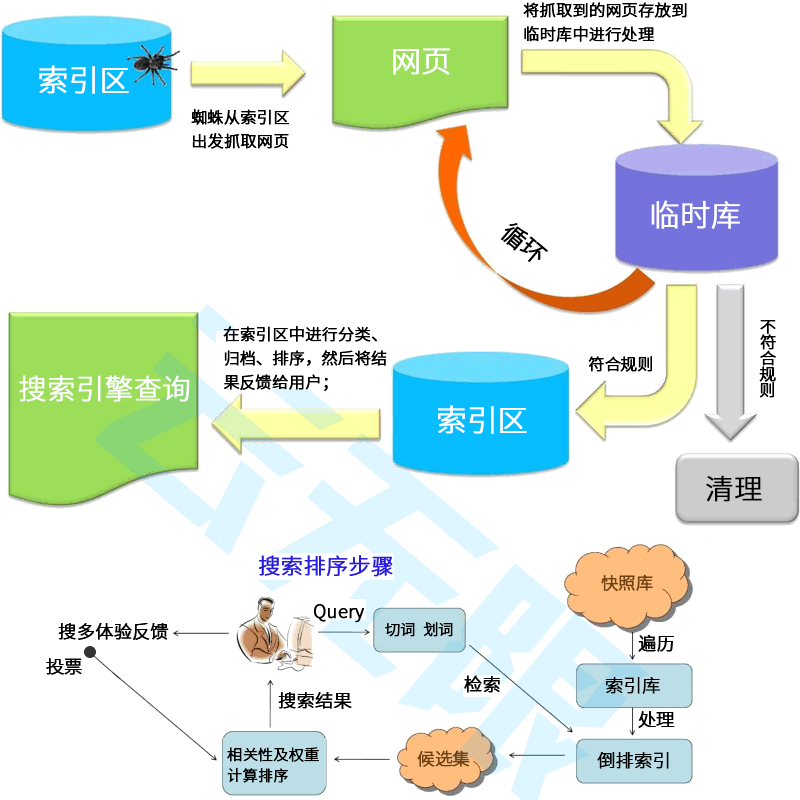 芯大脑SEO